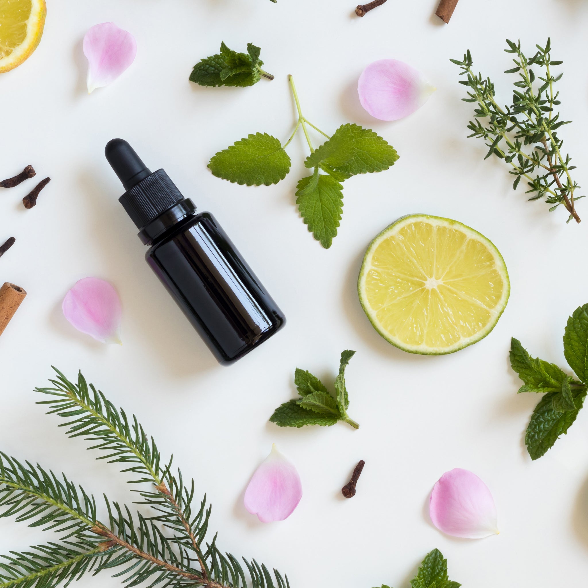 Aromatherapy: The Basics I