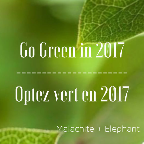 Go Green in 2017: Step 1 - Know the Ingredients