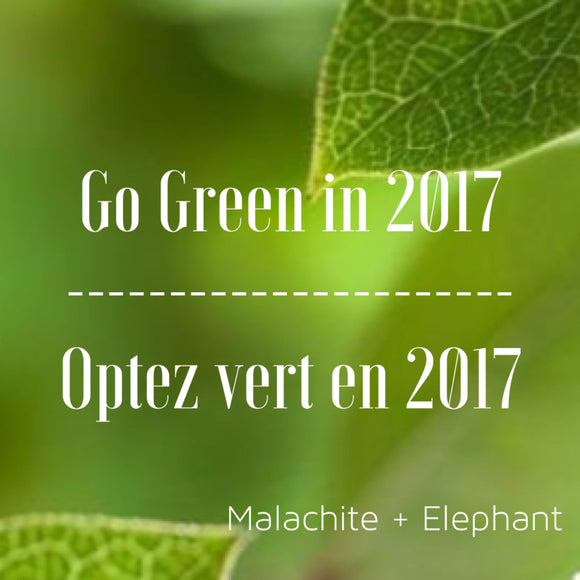 Go Green in 2017: Step 2 - How green are you?