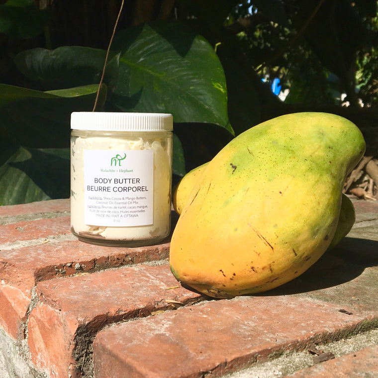 Body Butter with mango butter